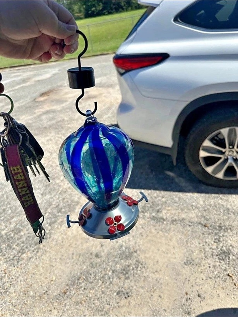 Hummingbird feeder never used